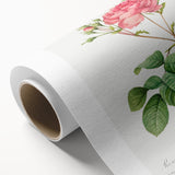 Neoclassical Art Prints: Rosa Centifolia Anglica Rubra by Redouté