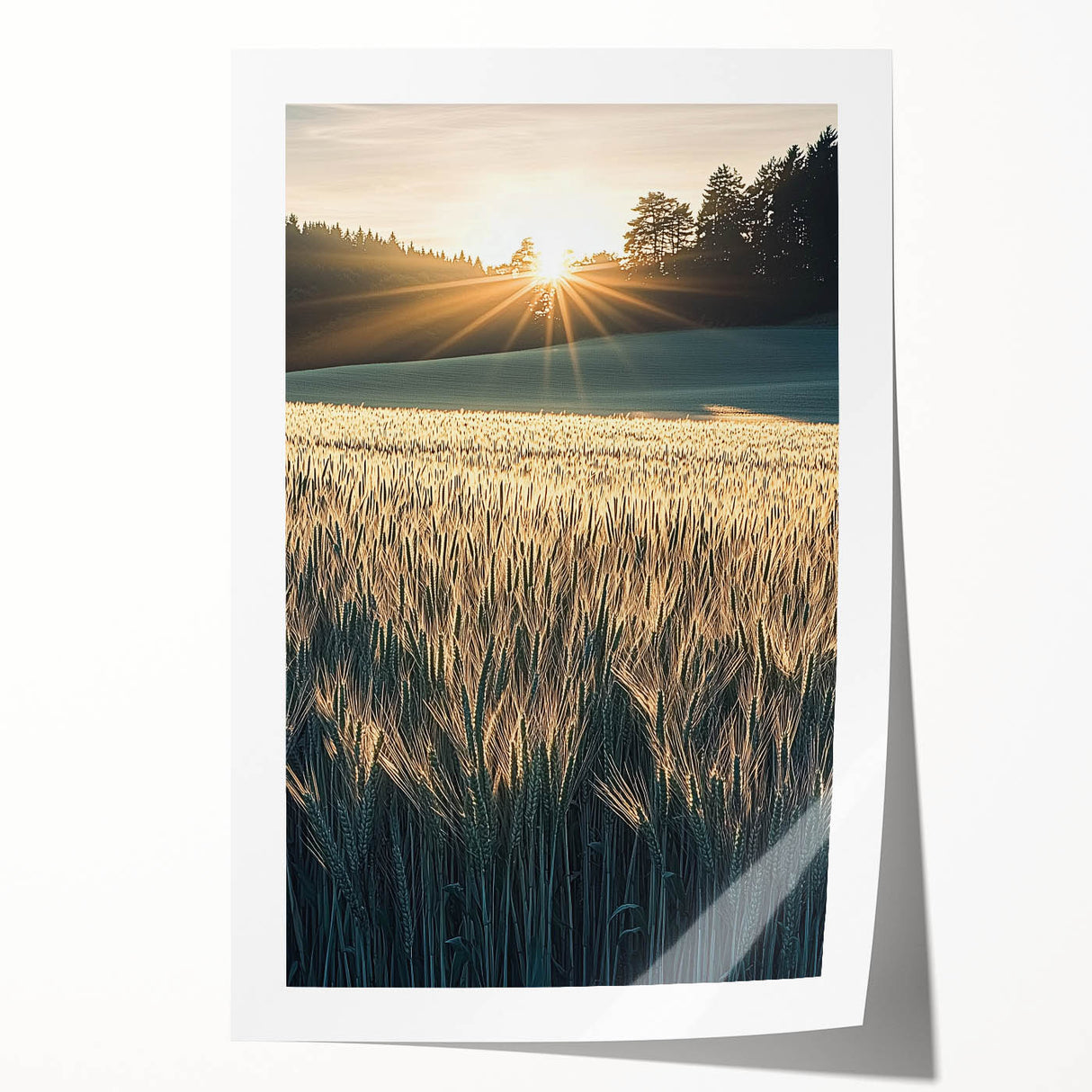 Vibrant rolled print of a serene landscape showcasing lush green fields under a bright blue sky, elegantly packaged in a durable cardboard tube, ideal for home decor or art display.