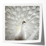 Extra large wall art print of vibrant pink flowers on a glossy canvas, ideal for dining room or bathroom decor.