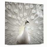 Large abstract wall art on acrylic, featuring close-up animal motifs in vibrant colors.