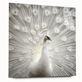 Large abstract acrylic print featuring a close-up of an animal in muted earth tones.