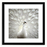 Extra large abstract art print featuring a colorful, textured close-up of animal fur, framed in black.