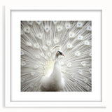 Abstract art print featuring close-up animal motifs in muted earth tones on a white framed canvas.