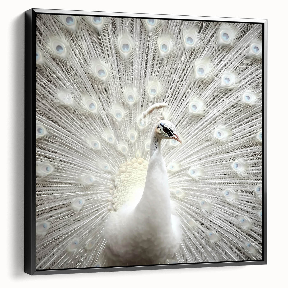 Black and white framed canvas featuring a close-up of a zebra, ideal for bedroom wall decor.