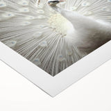 Art deco poster featuring a close-up of an animal on a rolled canvas, with soft gray tones, ideal for dining room wall art.