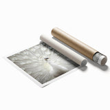 Close-up floral art on rolled print, featuring large, detailed blossoms in soft pink and white tones.