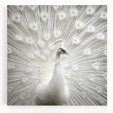 Black and white close-up photo of a zebra on stretched canvas, ideal for kitchen wall art.