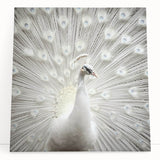 Large black and white photo of a zebra on stretched canvas, suitable as kitchen wall art or bedroom decor.