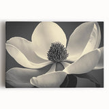 Black and white floral close-up on large stretched canvas, suited for kitchen wall art.