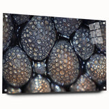 Close-up acrylic print of natural elements in earth tones, suitable for bedroom or dining room decor.