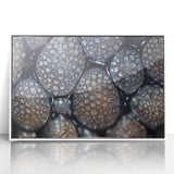 Art deco poster featuring close-up nature elements in muted green and white, acrylic framed, ideal for nursery wall decor.