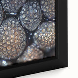 Extra large black wall art featuring a close-up of colorful, textured nature elements on framed canvas.