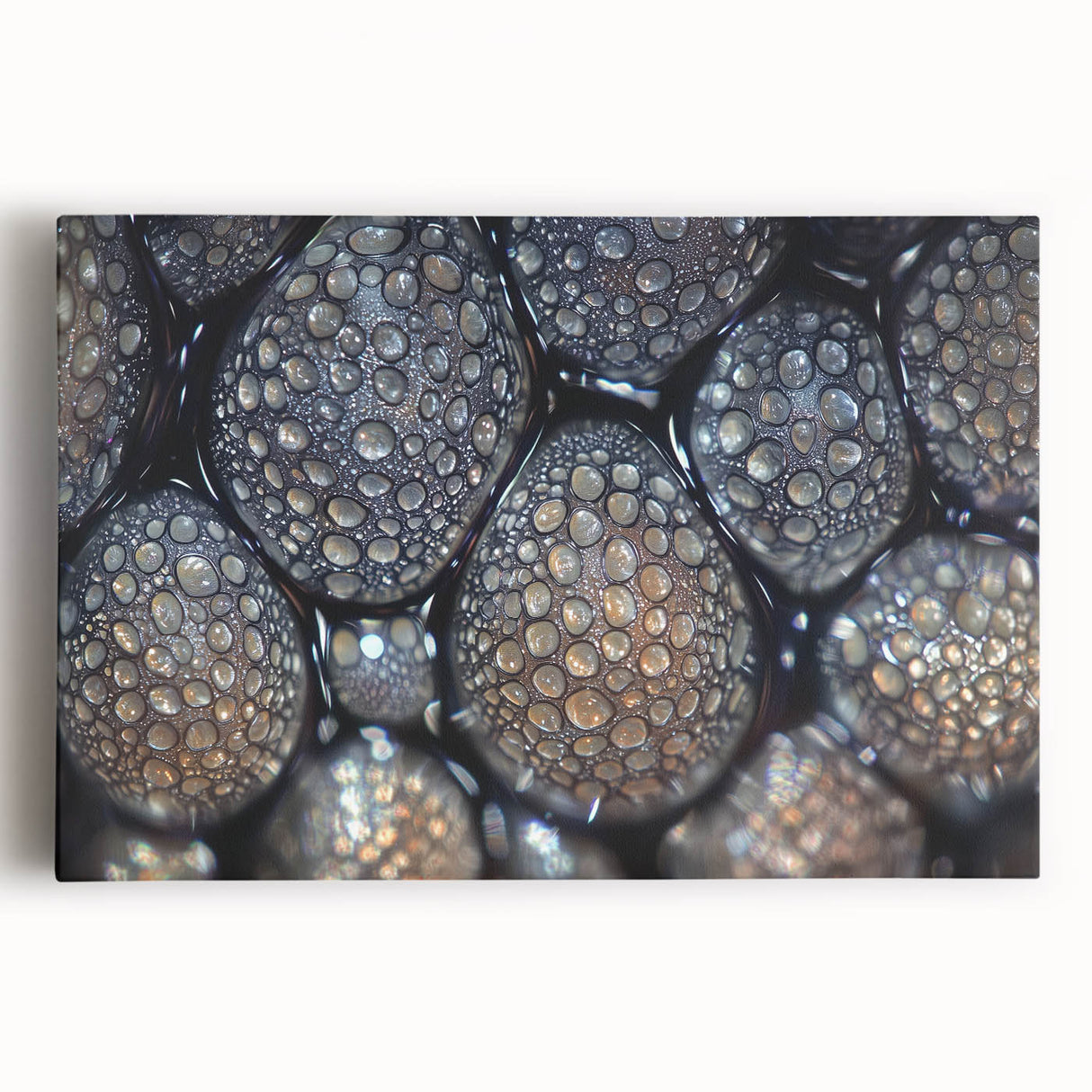 Black and white photograph of a close-up dandelion on stretched canvas, suitable for kitchen wall art.