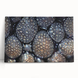 Black and white close-up photo of a leaf on stretched canvas, ideal for kitchen wall art or bedroom decor.