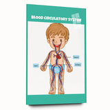 STEM Learning Wall Art - Blood Circulatory System Chart