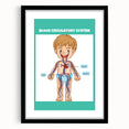 STEM Learning Wall Art - Blood Circulatory System Chart