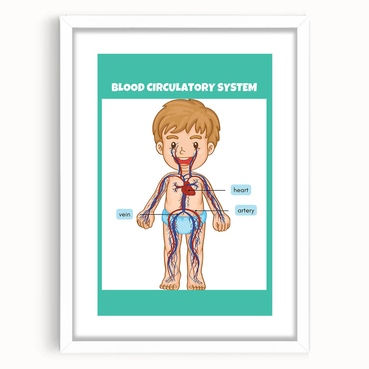 STEM Learning Wall Art - Blood Circulatory System Chart