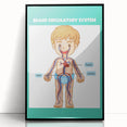 STEM Learning Wall Art - Blood Circulatory System Chart