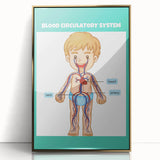 STEM Learning Wall Art - Blood Circulatory System Chart