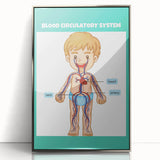 STEM Learning Wall Art - Blood Circulatory System Chart