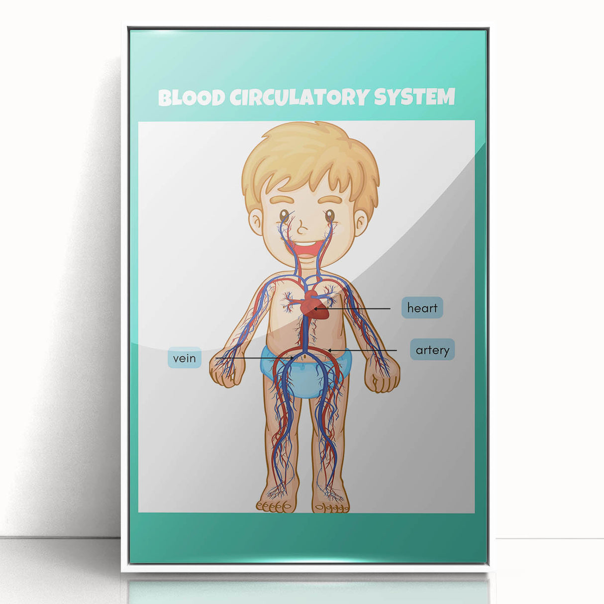 STEM Learning Wall Art - Blood Circulatory System Chart