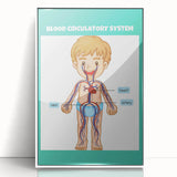 STEM Learning Wall Art - Blood Circulatory System Chart