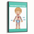 STEM Learning Wall Art - Blood Circulatory System Chart