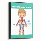 STEM Learning Wall Art - Blood Circulatory System Chart