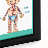STEM Learning Wall Art - Blood Circulatory System Chart