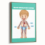 STEM Learning Wall Art - Blood Circulatory System Chart
