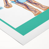 STEM Learning Wall Art - Blood Circulatory System Chart