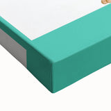 STEM Learning Wall Art - Blood Circulatory System Chart