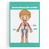 STEM Learning Wall Art - Blood Circulatory System Chart