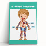 STEM Learning Wall Art - Blood Circulatory System Chart