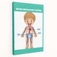 STEM Learning Wall Art - Blood Circulatory System Chart