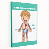 STEM Learning Wall Art - Blood Circulatory System Chart