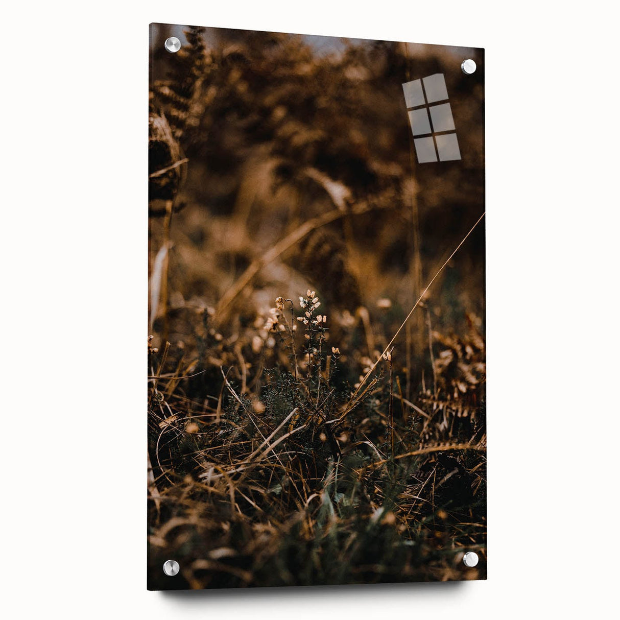 Large abstract wall art depicting fall scenery in orange and brown tones on acrylic glass.