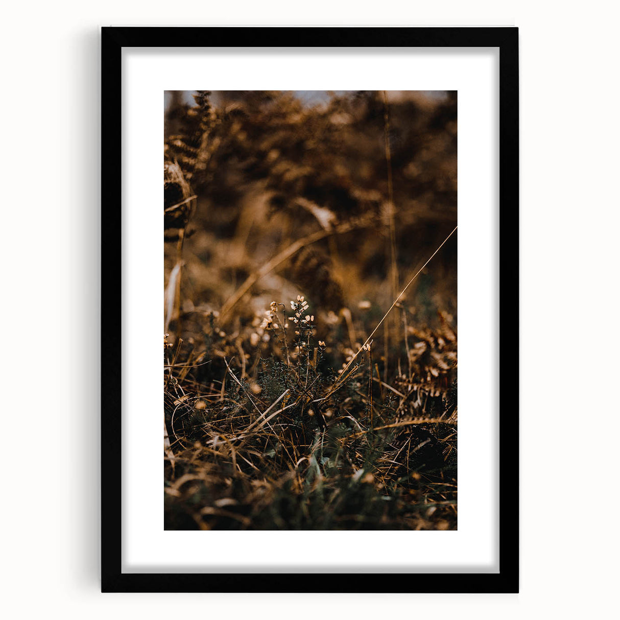Extra large abstract art print depicting colorful, textured fall scenery on a black framed canvas.
