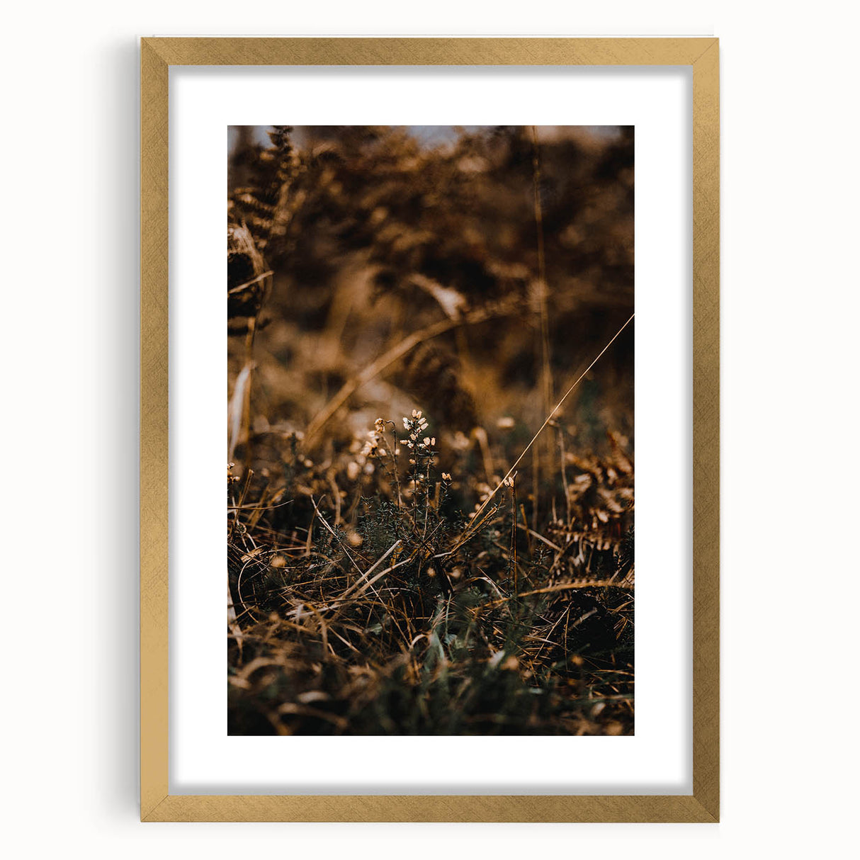 Extra large abstract art print featuring textured fall colors in a gold frame, ideal for living room decor.