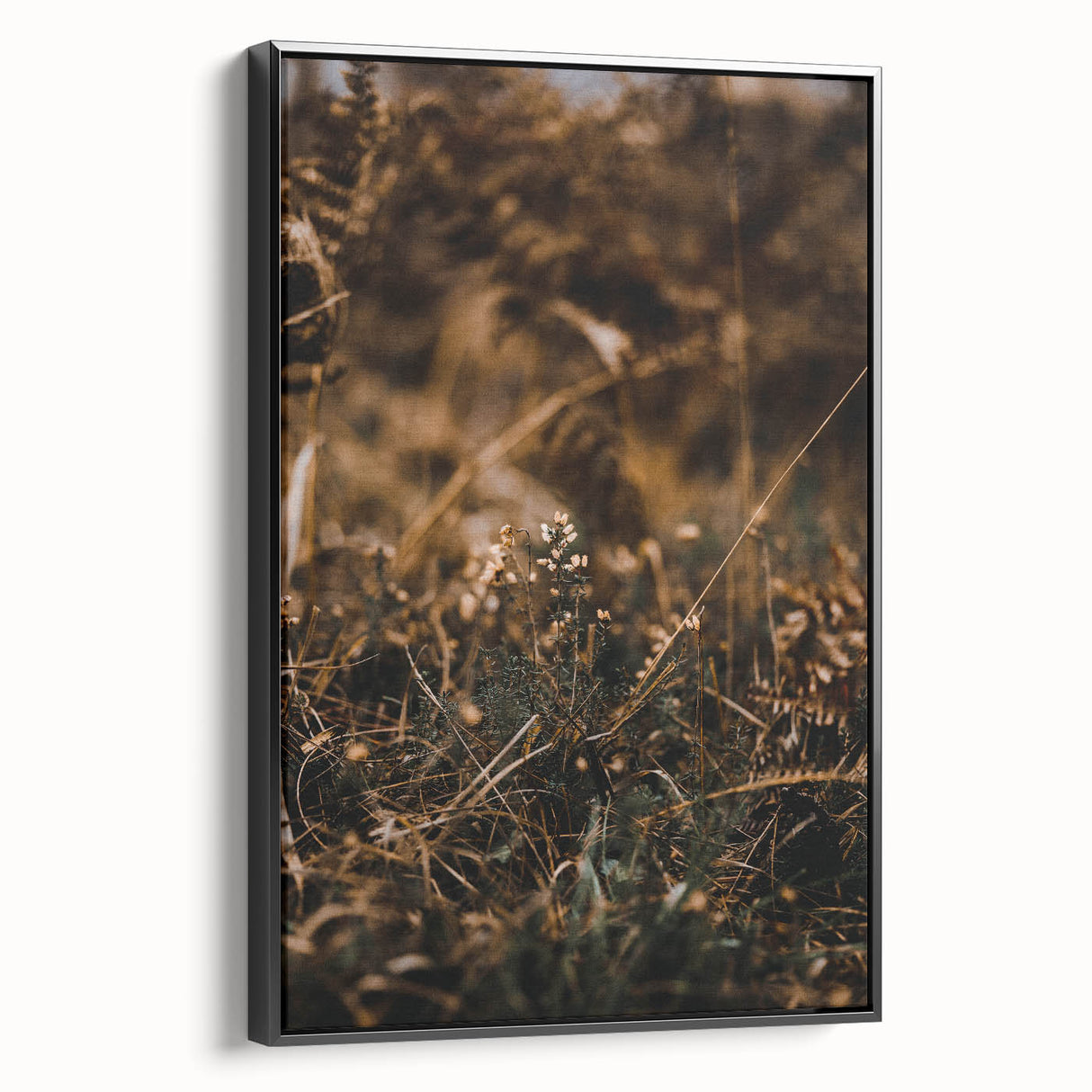Framed canvas featuring a black and white vintage landscape painting, ideal for bedroom wall decor.