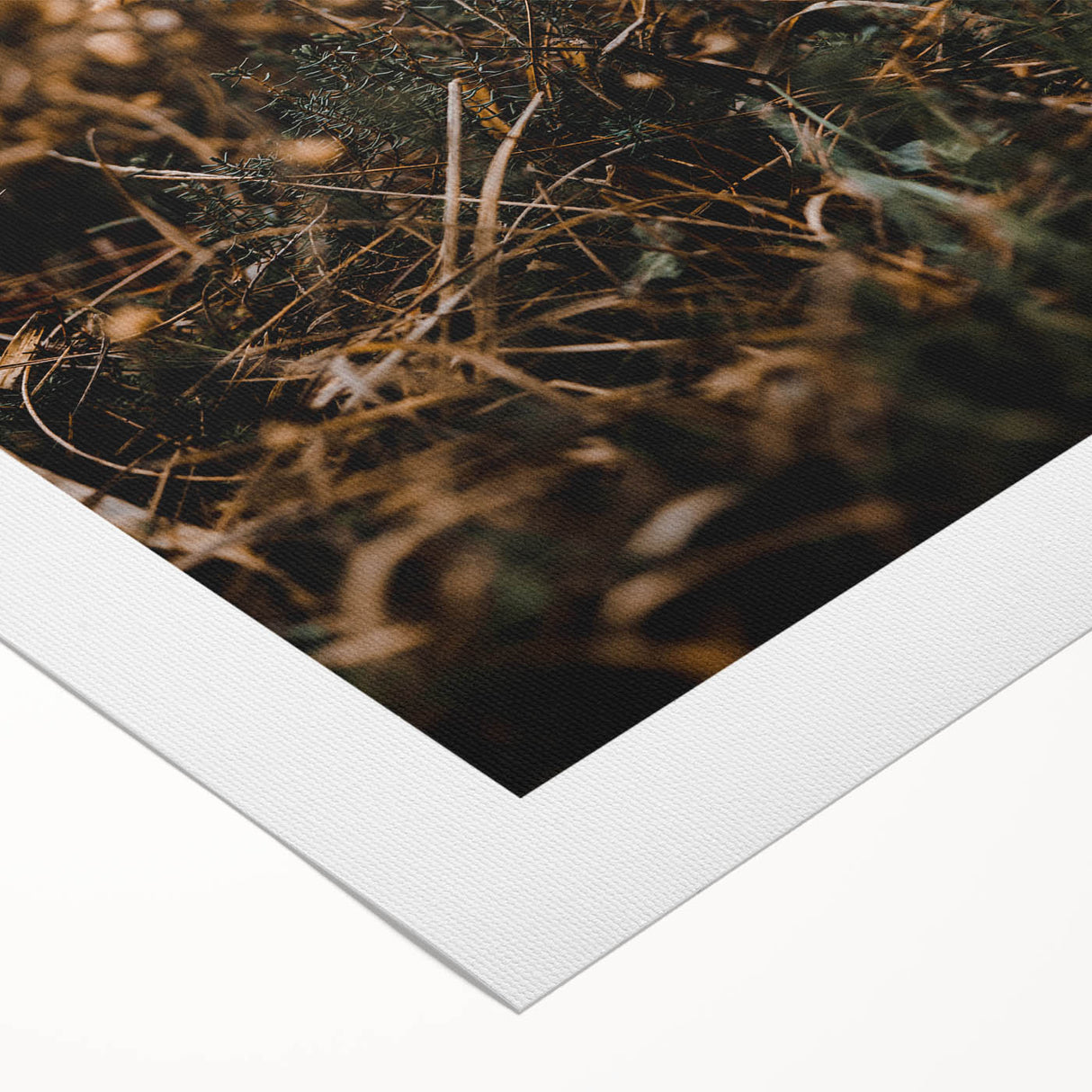 Art deco poster depicting a stylized fall landscape in orange and brown tones on rolled canvas.