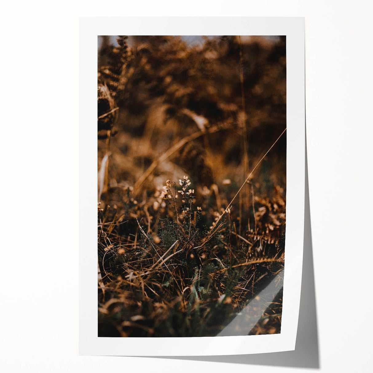 Extra large rolled canvas depicting vibrant autumn leaves, ideal for art wall dining room or classy bathroom decor.