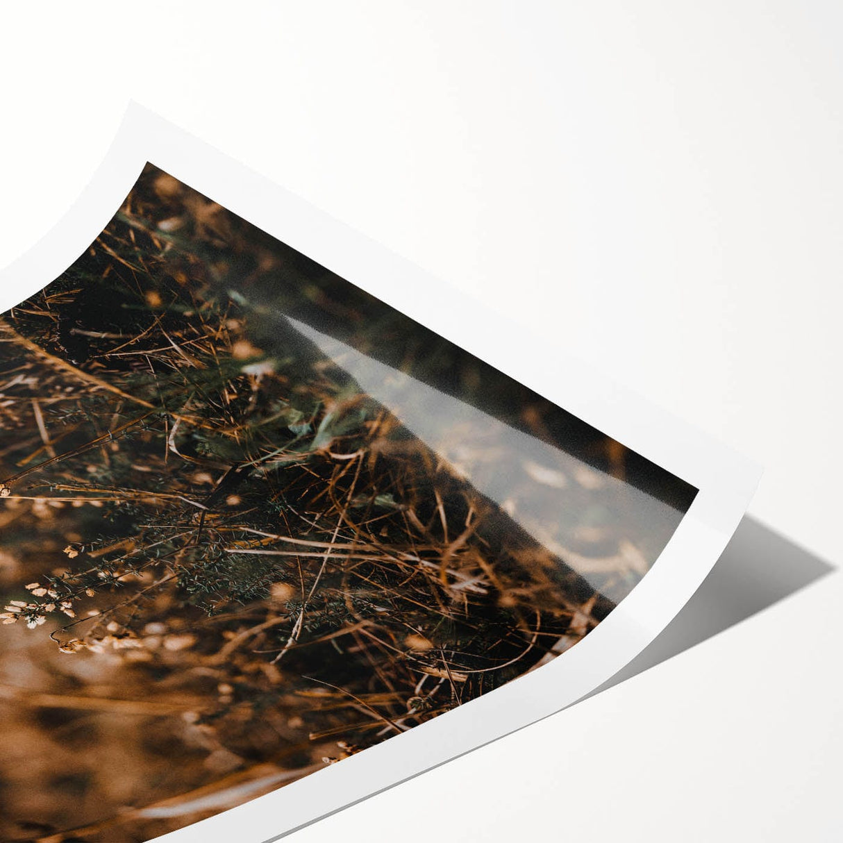 Extra large wall art featuring line art flowers in autumnal hues on a rolled canvas, suitable for large living room decor.
