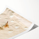 Extra large wall art featuring line art flowers in black on a white background, ideal for large living room wall decor.