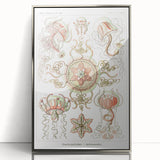 Modern Wall Art: Intricate Jellyfish Designs by Ernst Haeckel