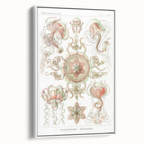 Modern Wall Art: Intricate Jellyfish Designs by Ernst Haeckel