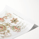 Modern Wall Art: Intricate Jellyfish Designs by Ernst Haeckel