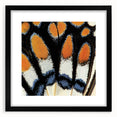 Extra large abstract art print featuring vibrant, textured close-ups of animals on a black framed canvas.