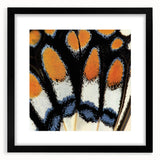 Extra large abstract art print featuring vibrant, textured close-ups of animals on a black framed canvas.