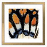 Extra large abstract art print featuring textured close-up of an animal, in a gold frame, suited for living room decor.